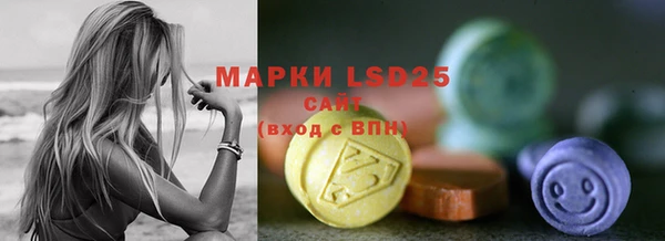 шишки Козельск